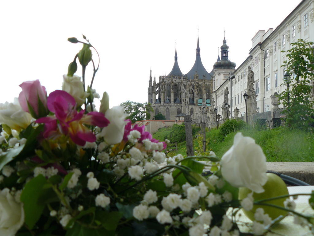 Vila U Varhanare Kutna Hora Bagian luar foto